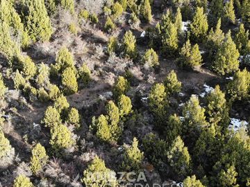 CAMPO DE 8 HECTÁREAS - COSTA LAGO LEZAMA - CHOLILA