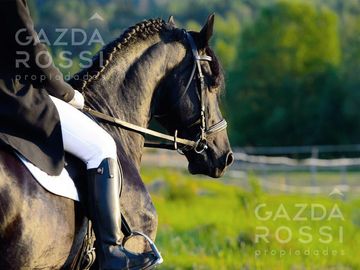 Excelente lote en sector Polo en La Providencia, Canning!