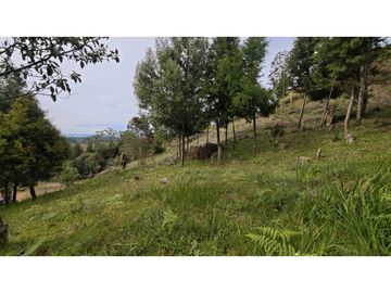 Lote en Guarne Vereda San Isidro