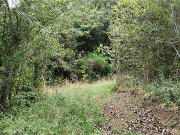 Parcelas de agrado en Paillaco - Lotes disponibles