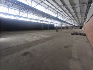 ALQUILER BODEGA 1500 MT2 EN PALMIRA VALLE