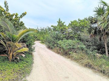 Venta Terreno Segunda Fila HOLBOX Q ROO