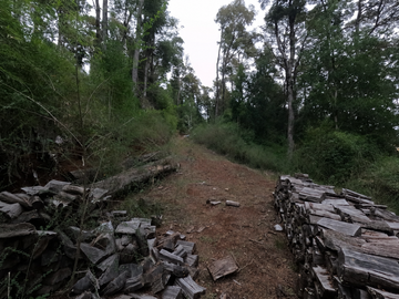 PARCELA CON ACCESO A RÍO, KAYAK DESDE TU CASA