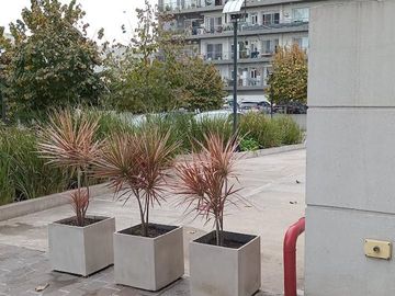VENTA DEPARTAMENTO PARQUE PATRICIOS CON RENTA