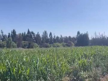 Parcela en venta  en MARÍA PINTO