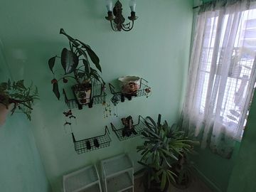 VENTA DEPARTAMENTO 3 AMBIENTES CABALLITO