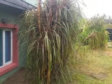 Chalet en venta en Mar Azul