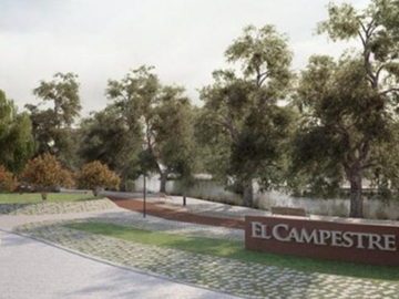 SE RENTA CASA EN EL CAMPESTRE  CERCA DEL TECNOLOGY