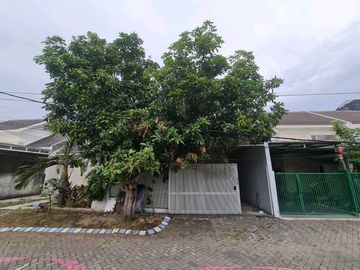 Valencia Garden