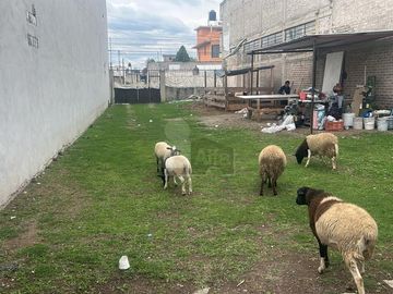 Terreno habitacional en venta en San Diego, Texcoco, México