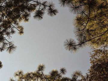 Terrenos Campestres de Ensueño en Tapalpa. Bosques de la Cañada.