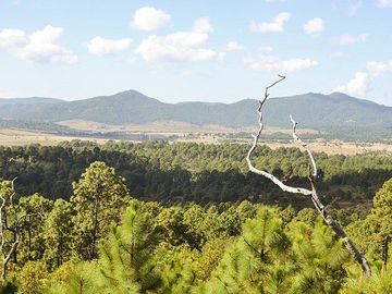 Terrenos Campestres de Ensueño en Tapalpa. Bosques de la Cañada.