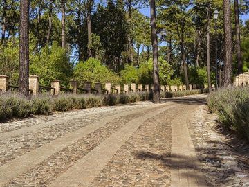 Terrenos Campestres de Ensueño en Tapalpa. Bosques de la Cañada.
