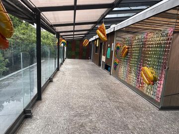 Renta de Local comercial Zona Rosa