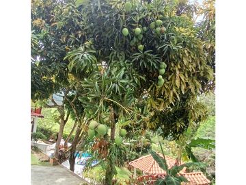 Finca en Venta, San Jerónimo