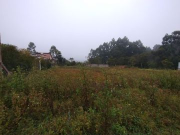 VENTA TERRENO 600 M2 EN LOS PAÑOS SAN ANTONIO