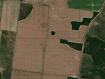 Campo agrícola en Ingeniero Chanourdie, Santa Fe