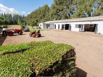 VENTA- 11 HECTAREAS-FONDO DE COMERCIO-HERMOSA CASA