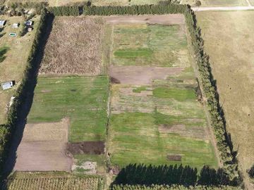VENTA- 11 HECTAREAS-FONDO DE COMERCIO-HERMOSA CASA