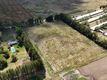 VENTA- 11 HECTAREAS-FONDO DE COMERCIO-HERMOSA CASA