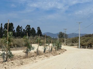 Parcela en venta  en LIMACHE