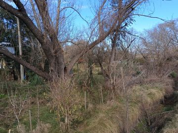 VENTA TERRENO HECTAREA BARRIO SAAVEDRA ZARATE