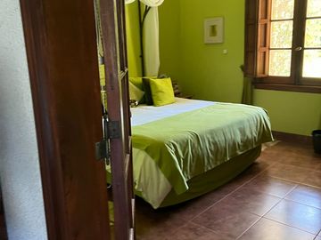 Nuevo precio de venta chacra de  17 hectáreas.