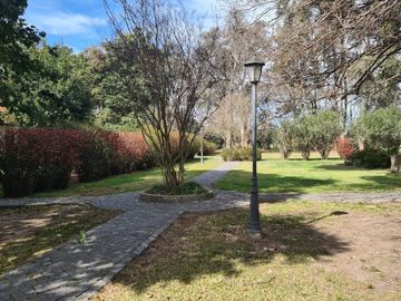 Nuevo precio de venta chacra de  17 hectáreas.