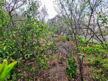 Terreno habitacional en venta en San Antonio, San Cristóbal de las Casas, Chiapas
