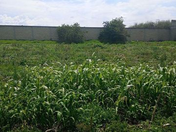 Lote / Terreno en Venta en Santa Cruz