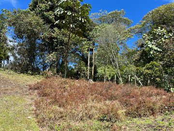 FINCA PARA ARRIENDO Y VENTA EN RIONEGRO