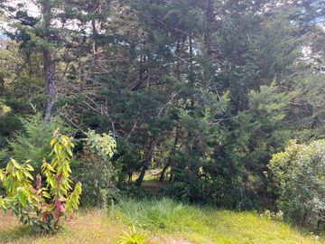 FINCA PARA ARRIENDO Y VENTA EN RIONEGRO