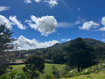 FINCA PARA ARRIENDO Y VENTA EN RIONEGRO