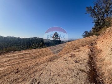 Terreno 5000 m² en Terrazas de Pitama