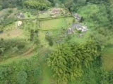 ARRIENDO de FINCAS en PEREIRA