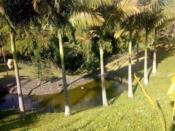 ARRIENDO de FINCAS en PEREIRA
