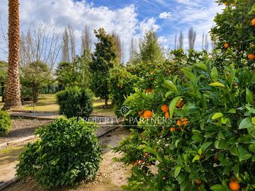 Lo Pinto, Casa en Condominio con Agua Propia, Gran Jardín y Cabaña de Invitados