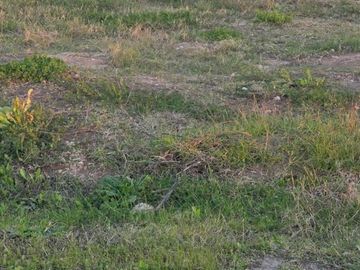 Terreno en Nuevo Quilmes 2