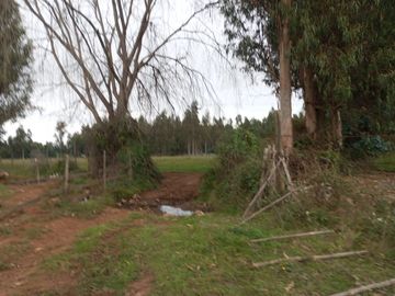 Vendo 3,56 ha de Terreno, Especial para Cultivo de Avellano, Sector Astillero, Pelarco.