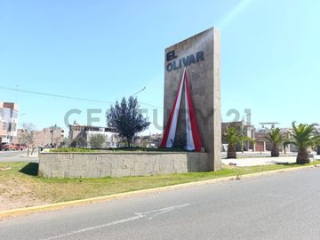 Venta de Terreno en Centenario Olivar II – Tacna
