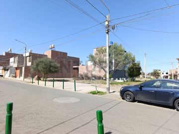 Venta de Terreno en Centenario Olivar II – Tacna