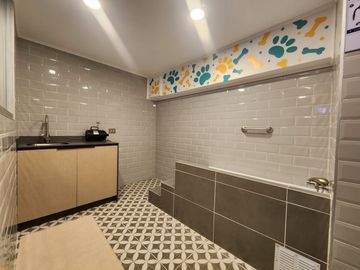 SALAS 36 CONCEPCIÓN