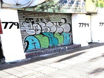 PLACER 779