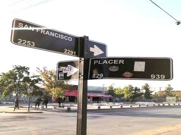 PLACER 779