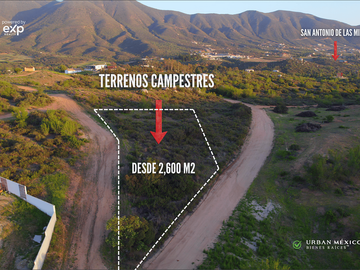 Terrenos Campestres en Venta en Valle de Guadalupe | Desde 2,600 m²