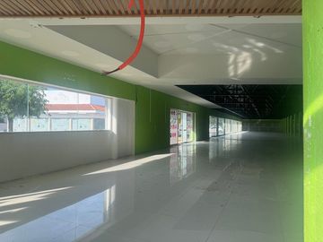 Local comercial en renta sobre avenida Prolongación Paseo de Montejo.