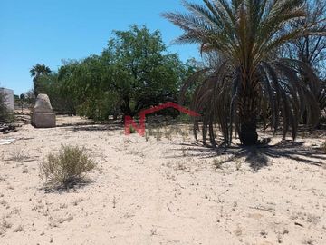 TERRENO CAMPESTRE EN VENTA EN PITIQUITO SONORA
