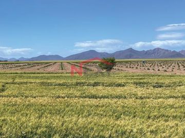 CAMPOS AGRICOLAS EN VENTA  SANTA EDITH????