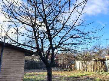 LOCAL COMERCIAL MAS CASONA DE 5H Y GRAN TERRENO EN OFERTA