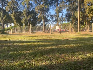 LOTE EN LA TATENGUITA